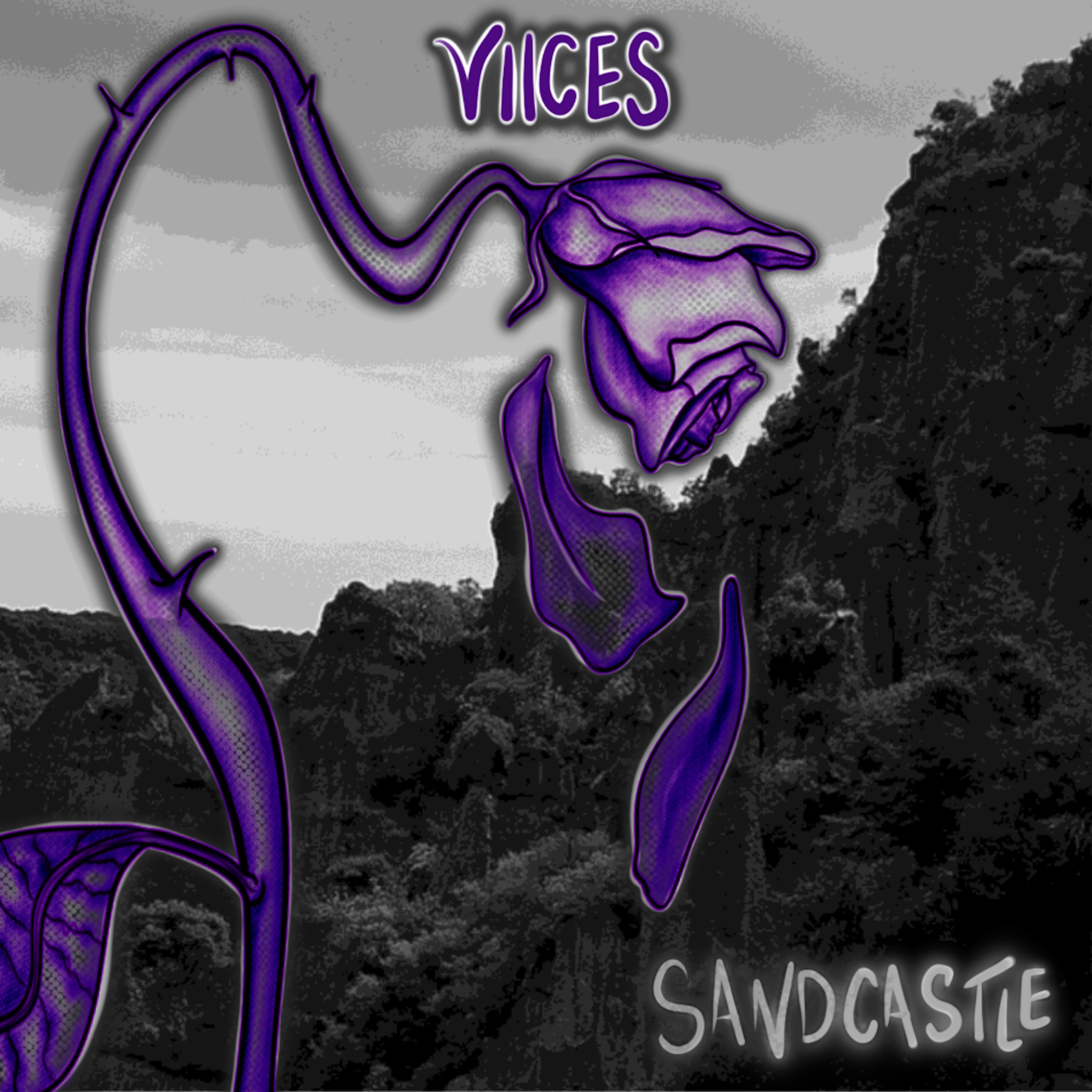 Viices, Tour, Music, New Zealand, Jake McComb, Gig, Festival, Tour, NZ